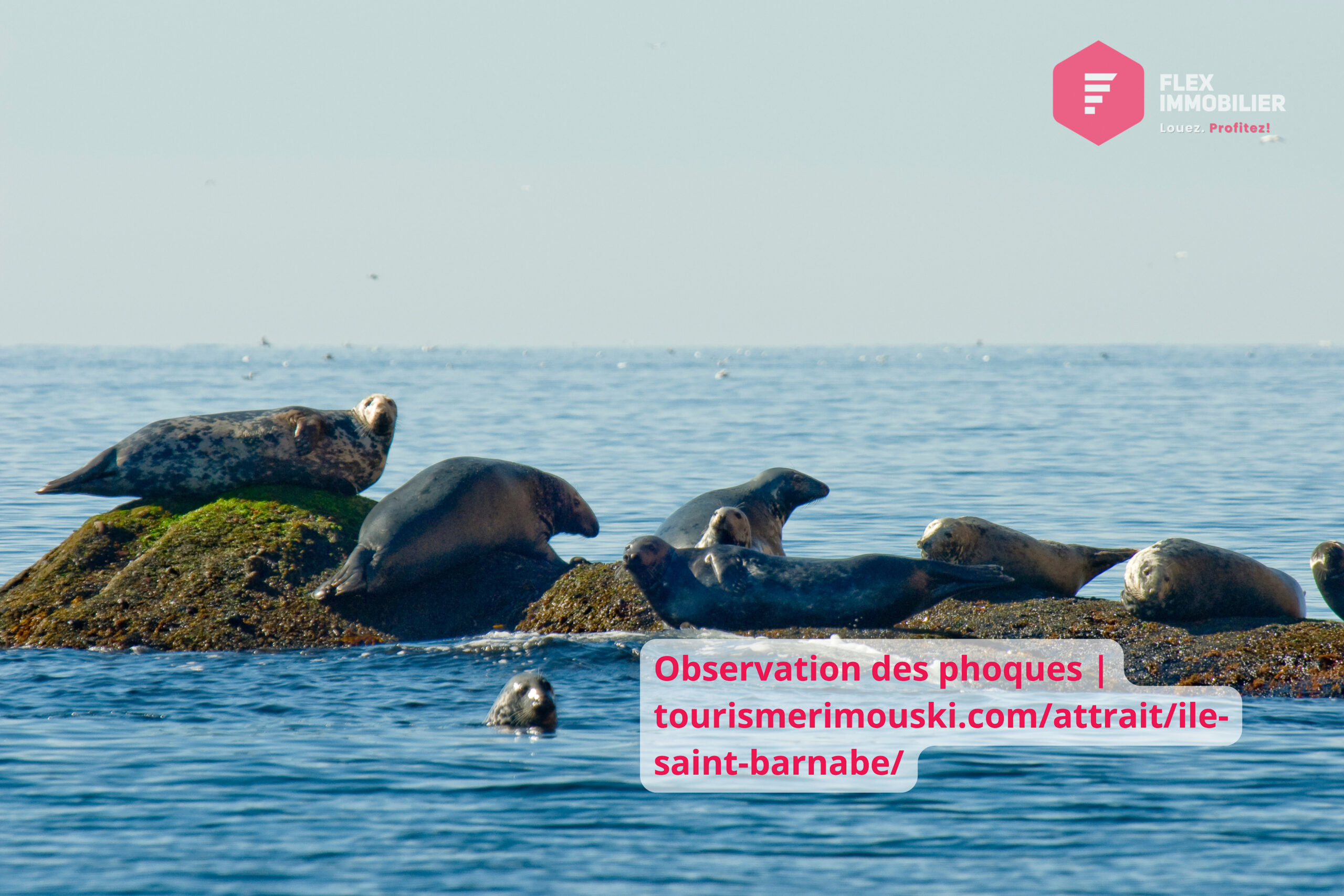 Emplacement du chalet - 136