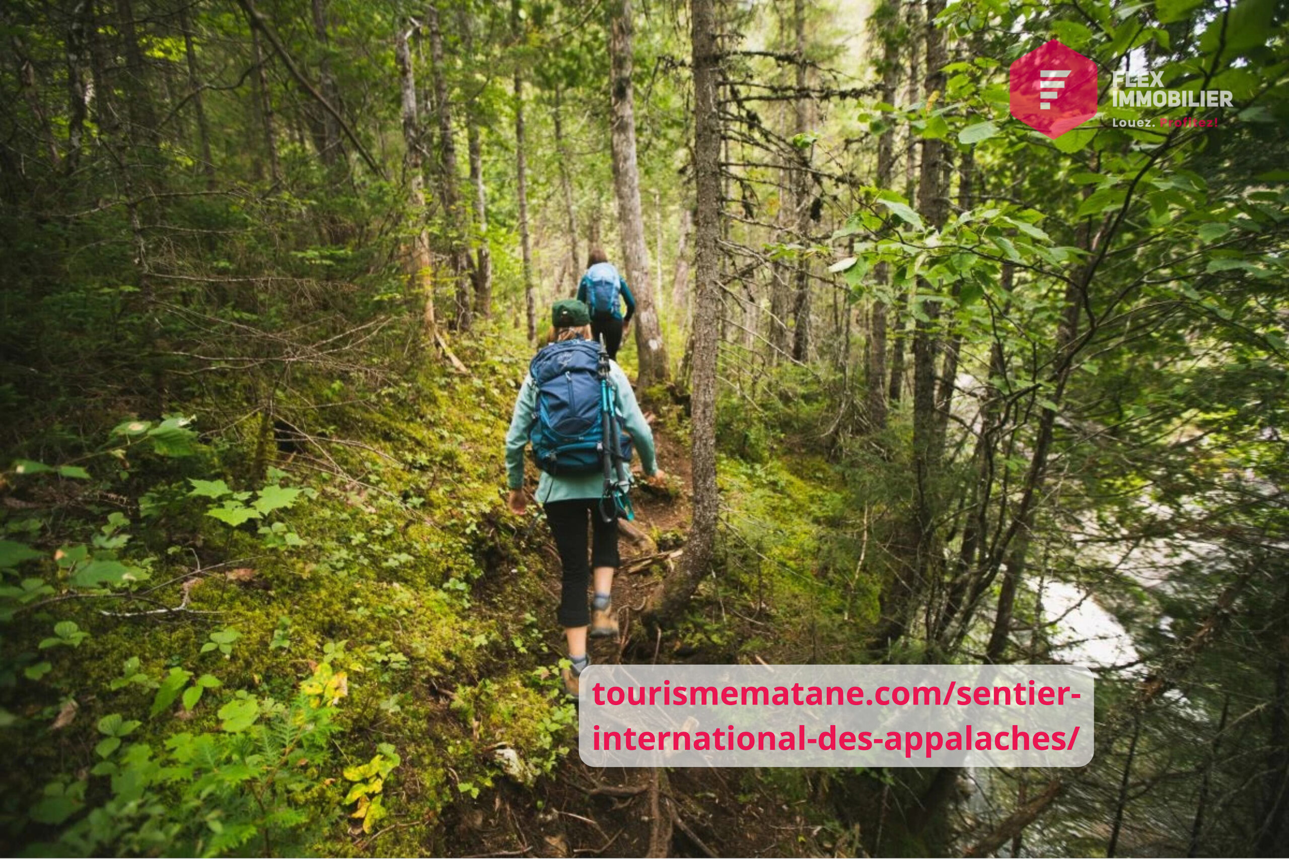 Sentier-International-des-Appalaches-accueil-john