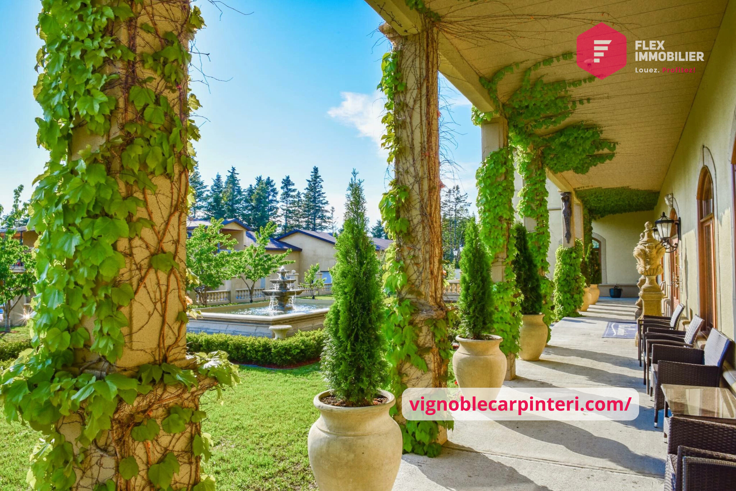 Vignoble-Carpinteri-St-Ulric