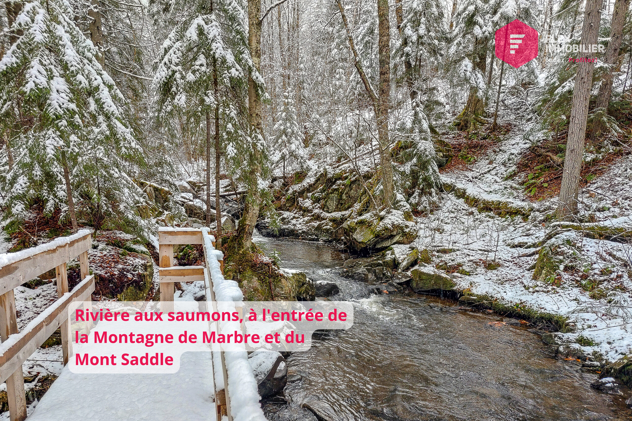 Emplacement du chalet - 113